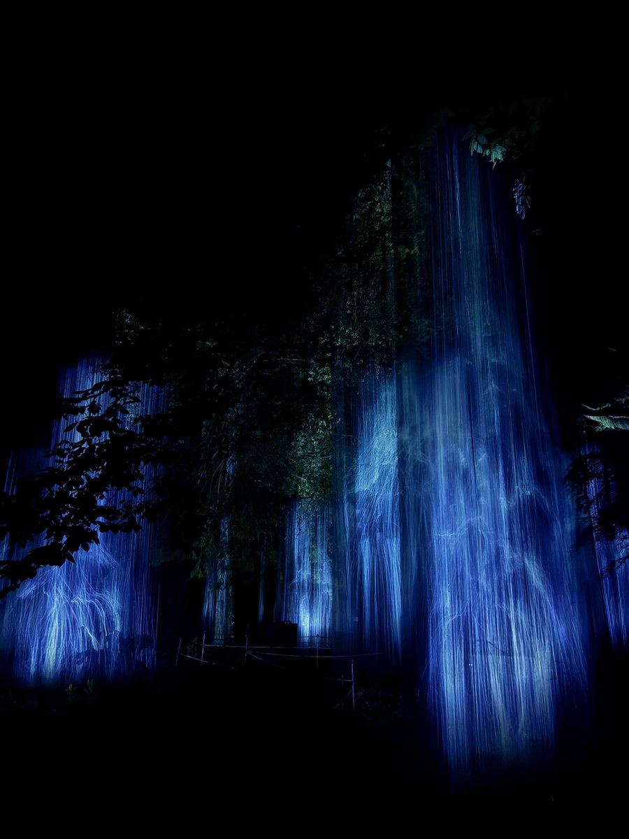 𝐫𝐞𝐤𝐢. tweet media