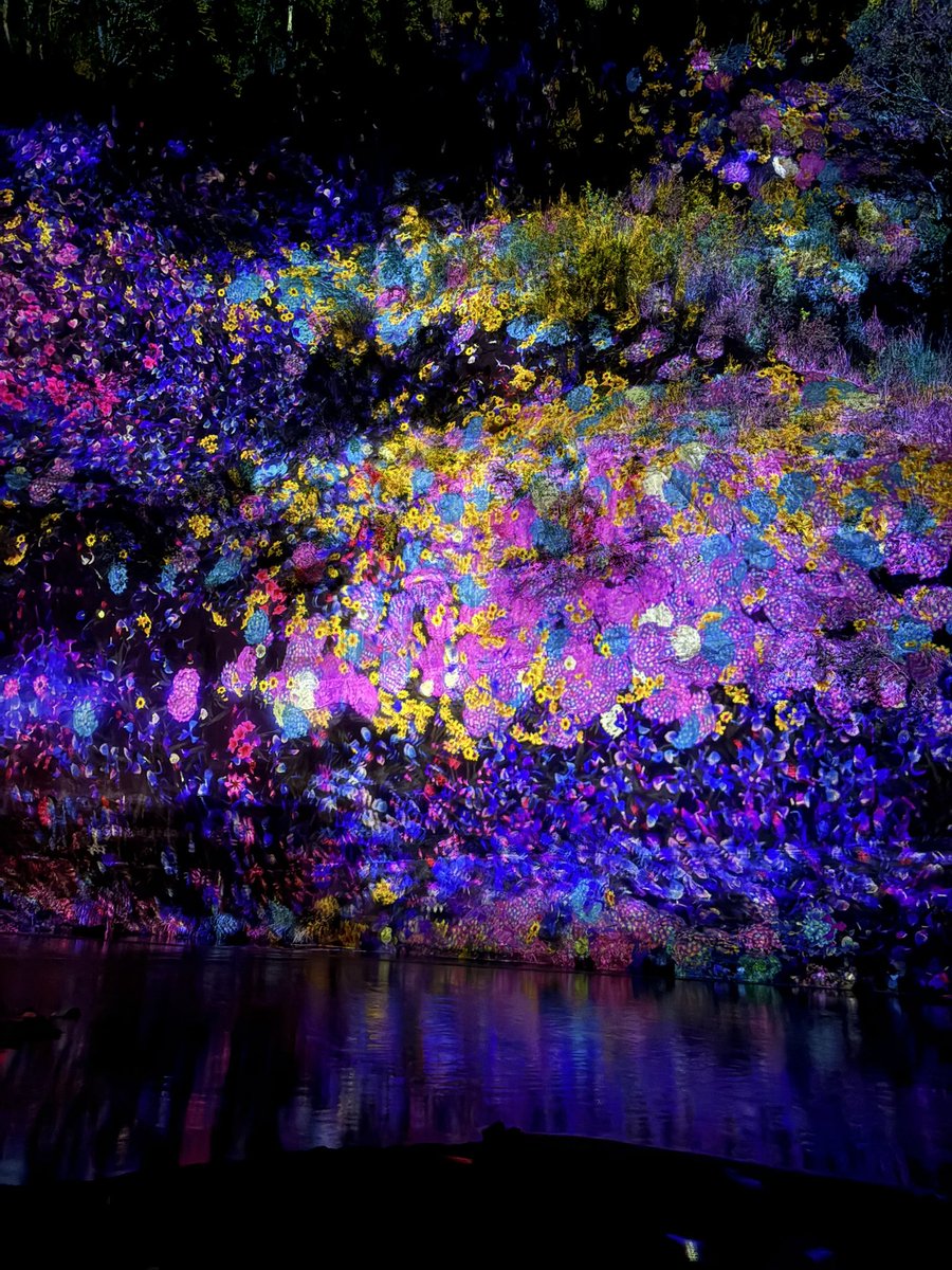 𝐫𝐞𝐤𝐢. tweet media