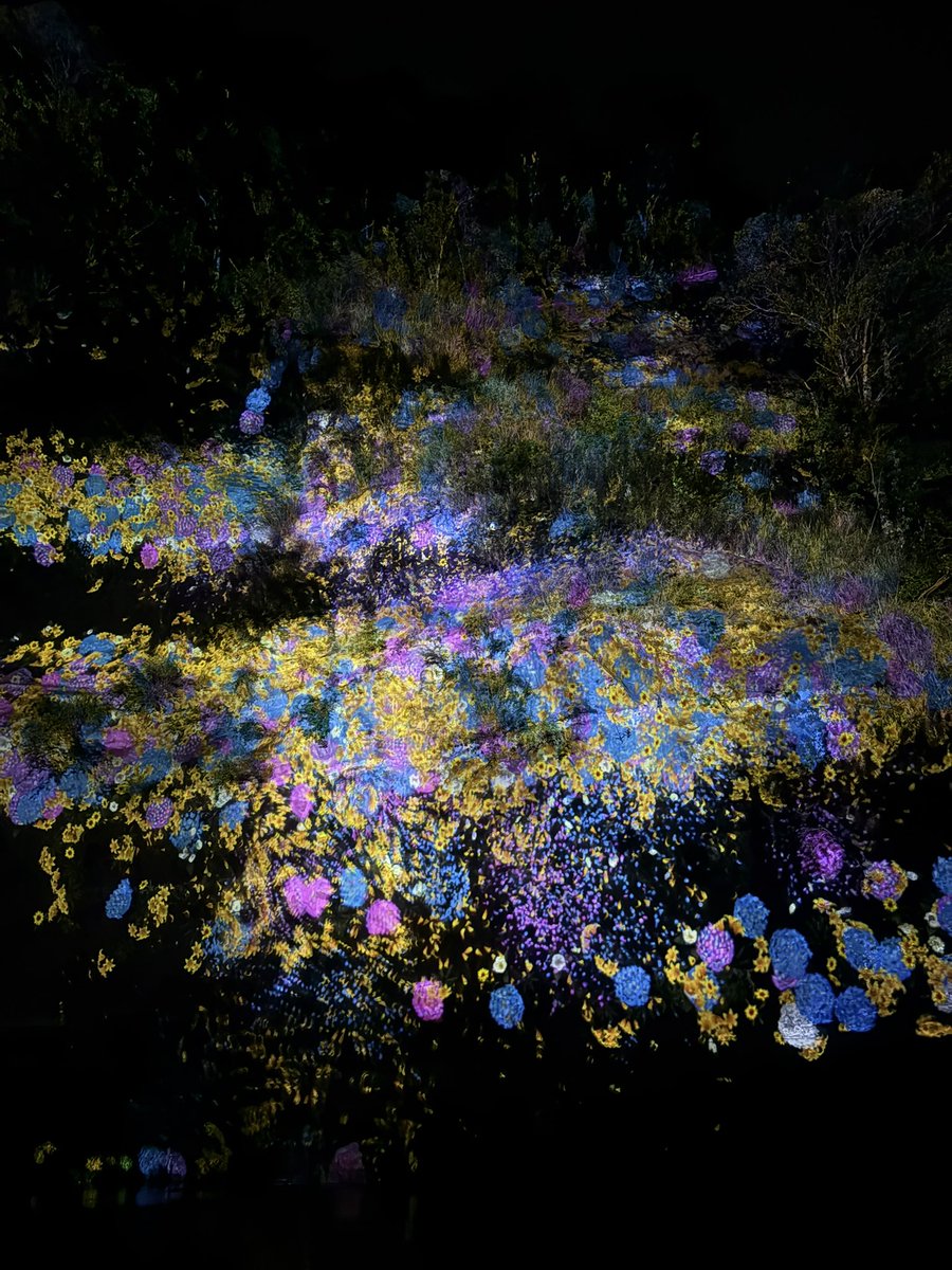 𝐫𝐞𝐤𝐢. tweet media