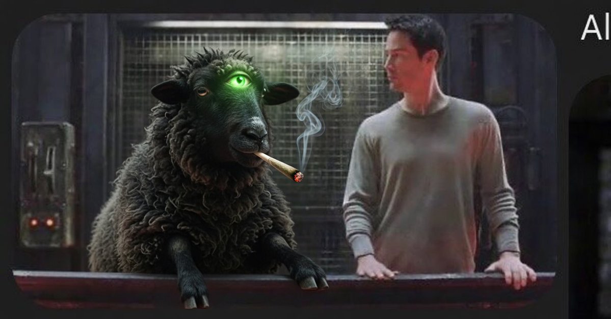 King of the Free tweet media