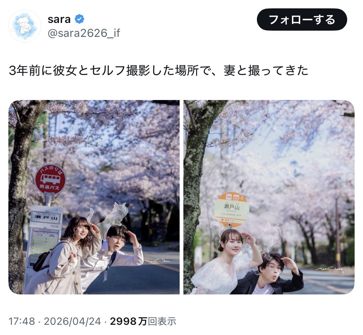 ひよこ tweet media