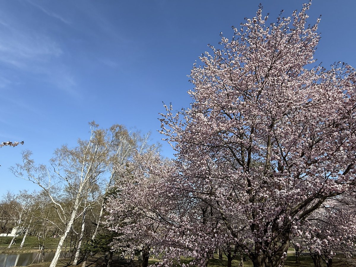 ういち tweet media