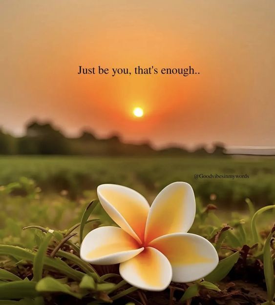 The Motivational Quotes tweet media