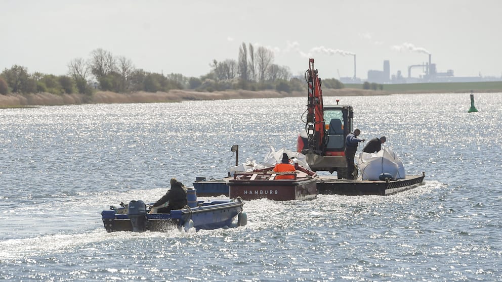 Shlay 🐳 tweet media