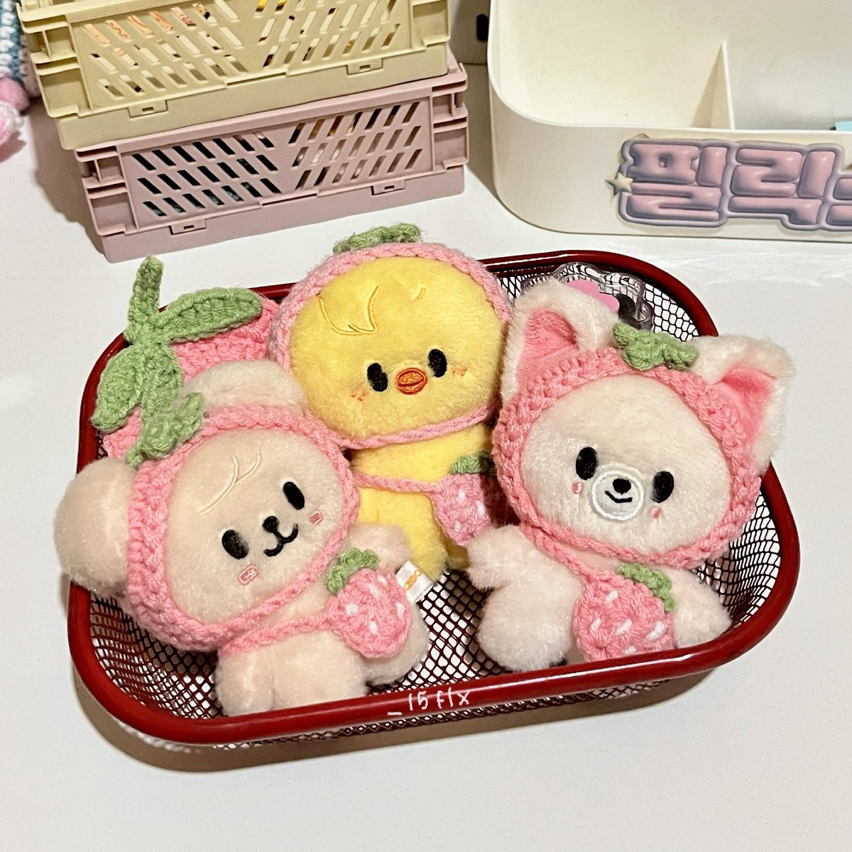 𝓕🪽 tweet media