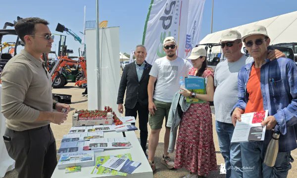 🇮🇹🍅La experiencia de Sicilia en tomate se enseña en el campo de Níjar 🇪🇸🍅

📝agroautentico.com/2026/04/la-exp…

📌#Sicilia es cuna del mejor #tomate en Italia y la compañía #SeedsTechnologies es referente allí. En esta edición de Expolevante 2026, que concluía ayer en el campo de #Níjar,
