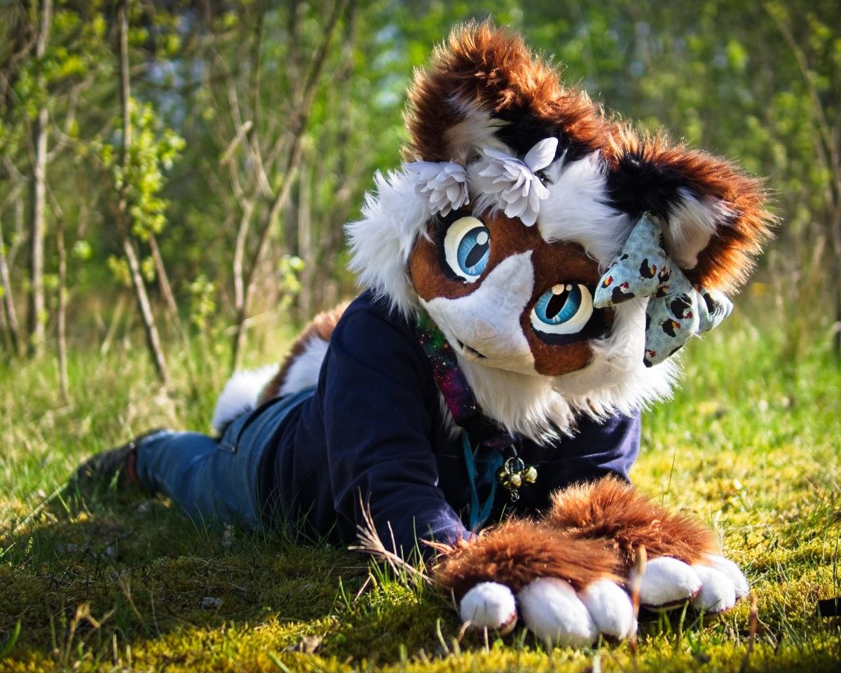 🌟Aspen🌟 (@Aspen_Husky) / Posts / X