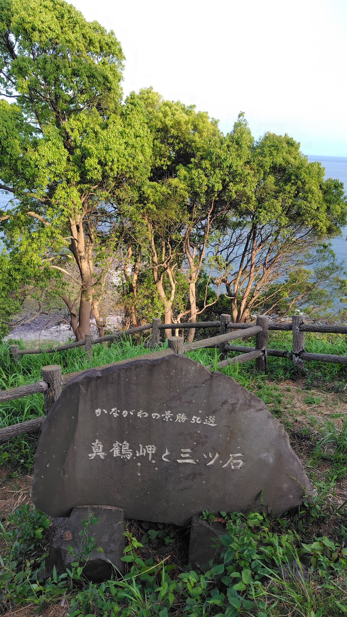 フランク SSTR2026エントリー完了 tweet media