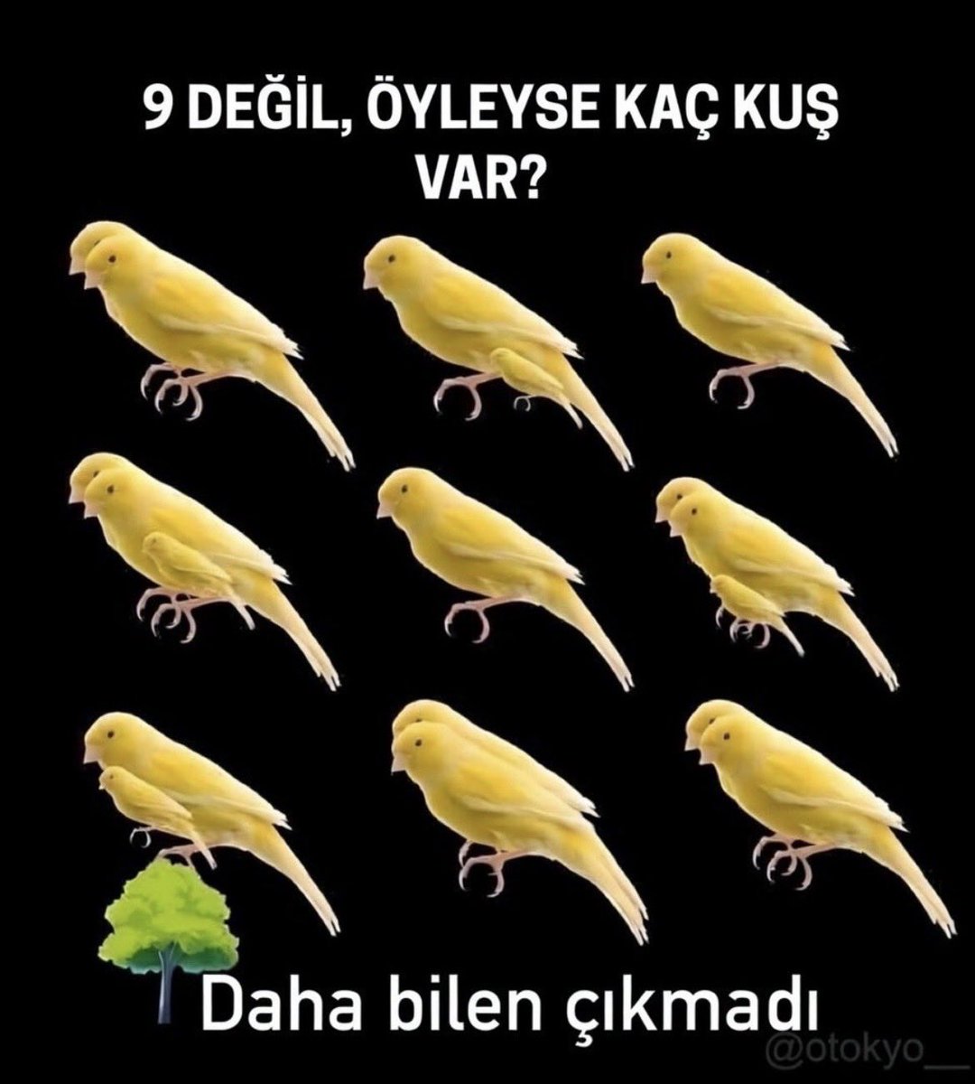 Melis ✨ tweet media