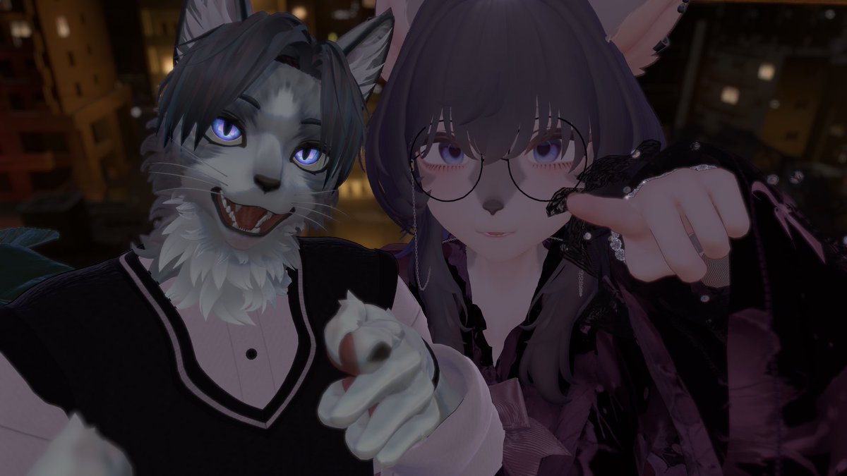 ねこと tweet media