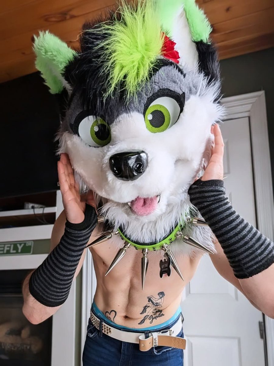 💚𝐅𝐢𝐫𝐞𝐟𝐥𝐲 𝐖𝐨𝐥𝐟𝐲~ 🔜AC tweet media