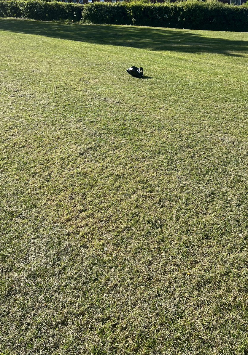 Integral Views tweet media