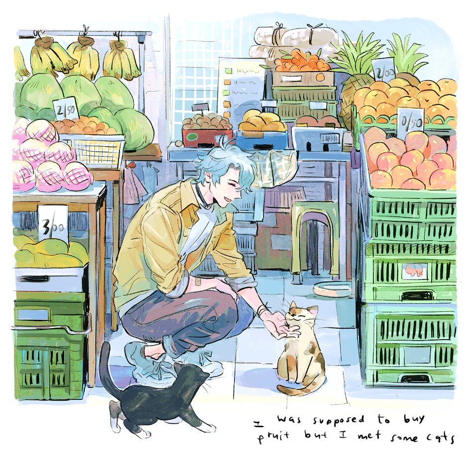 a seal in a bath tweet media