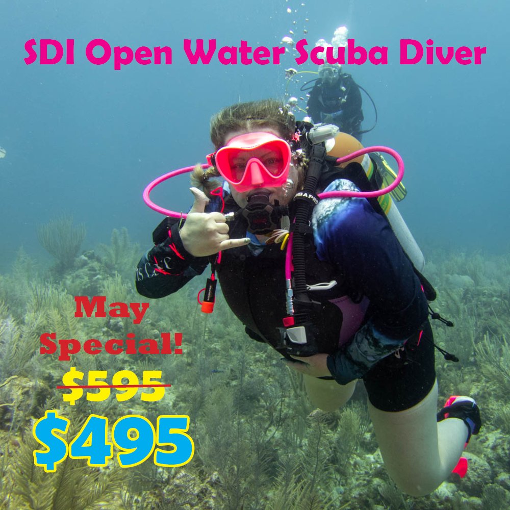 Dive Rinse Repeat Scuba tweet media