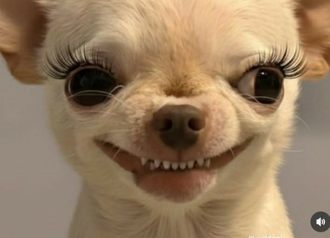 Nicholas.Ayo (◕‿◕)😊 tweet media