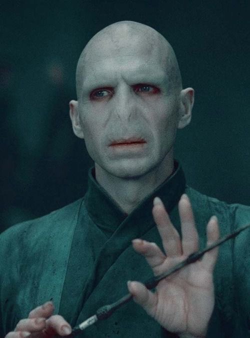 Acervo do Potter tweet media