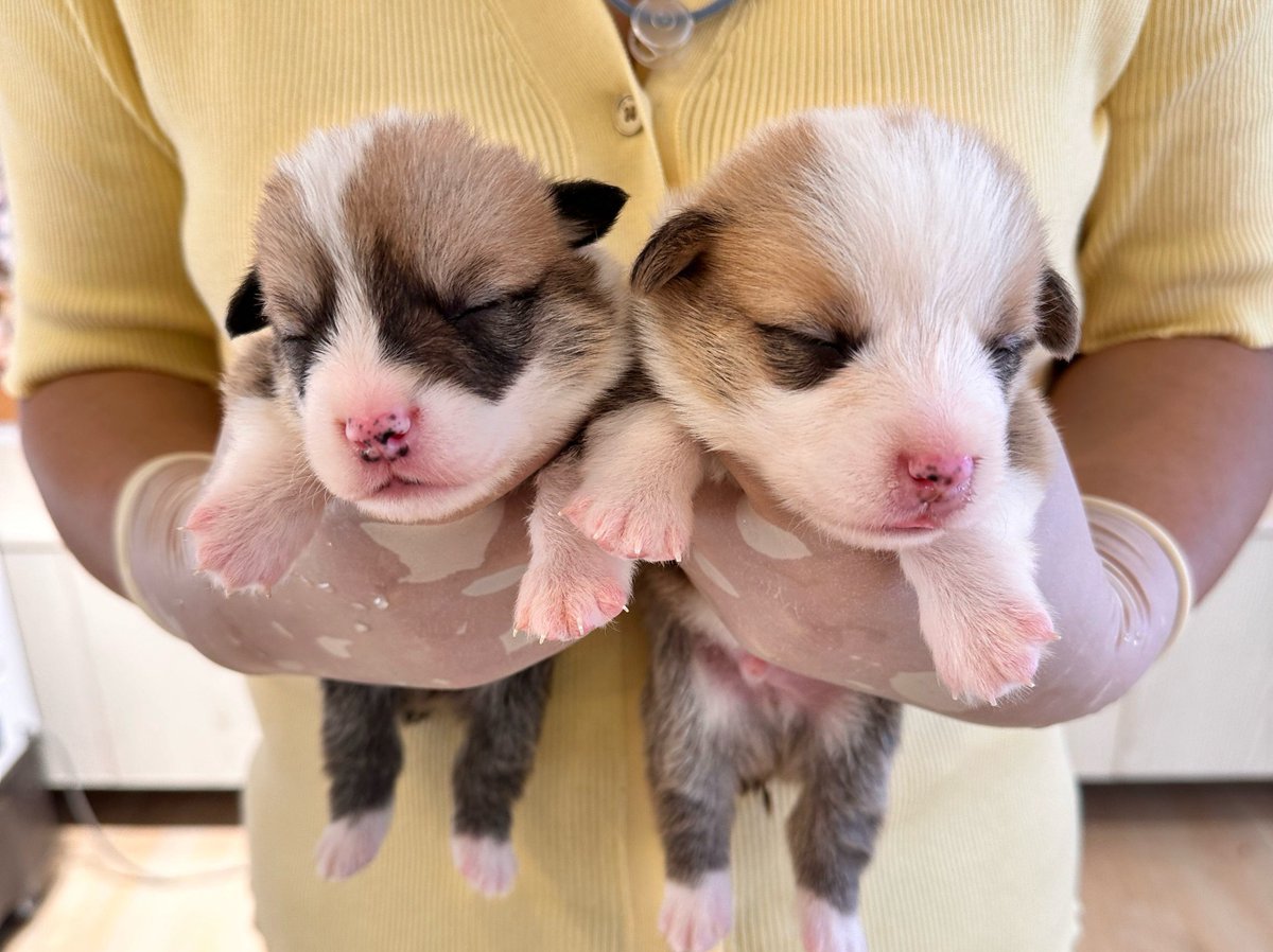 NM_Jacob tweet media