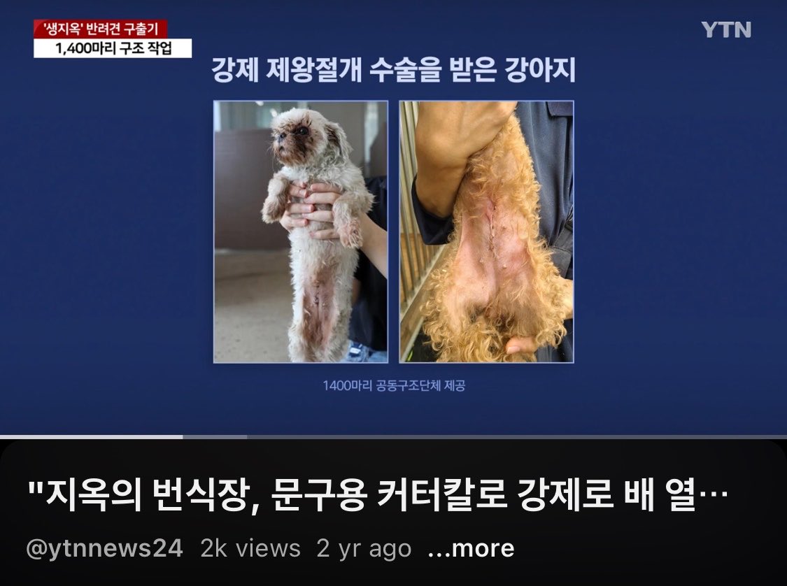 펫샵소비하는 사람 사람취급안함
애초에 강아지들 임신은 어떻게 시키는지 알아? 새끼만한 애들이 굶어 삐쩍말라서 배만 괴상하게 부풀어오른 거 봤어? 새끼뺀다고 커터칼로 배 가르고 죽으면 시체는 냉동실에 처박아두고 필요없으면 죽이고

솔직히 몰랐다는 말도 어이없음 인터넷 오늘 처음해?