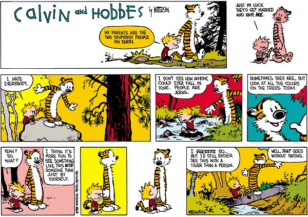 Calvin and Hobbes Daily tweet media