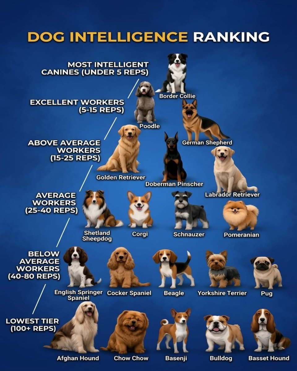 Cata Paul 🃏‍‍‍ tweet media