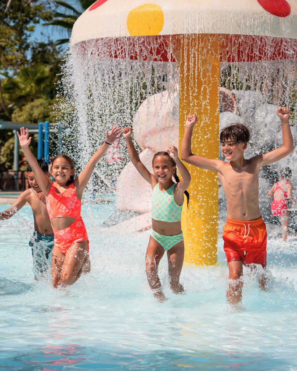 Wild Water Adventure tweet media
