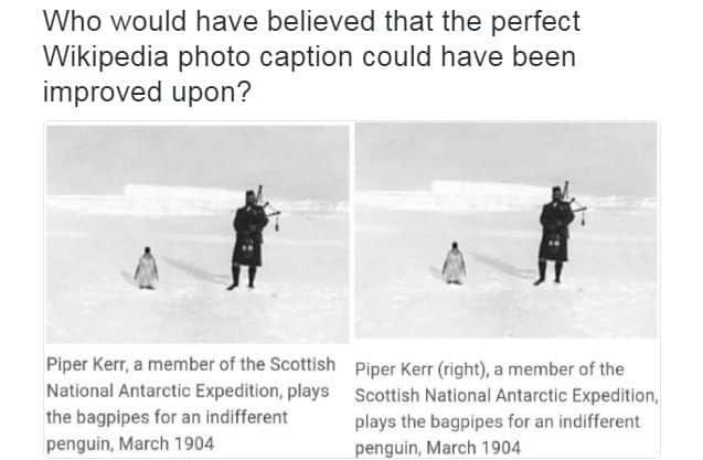 In honor of World Penguin Day, my favorite correction of all time.