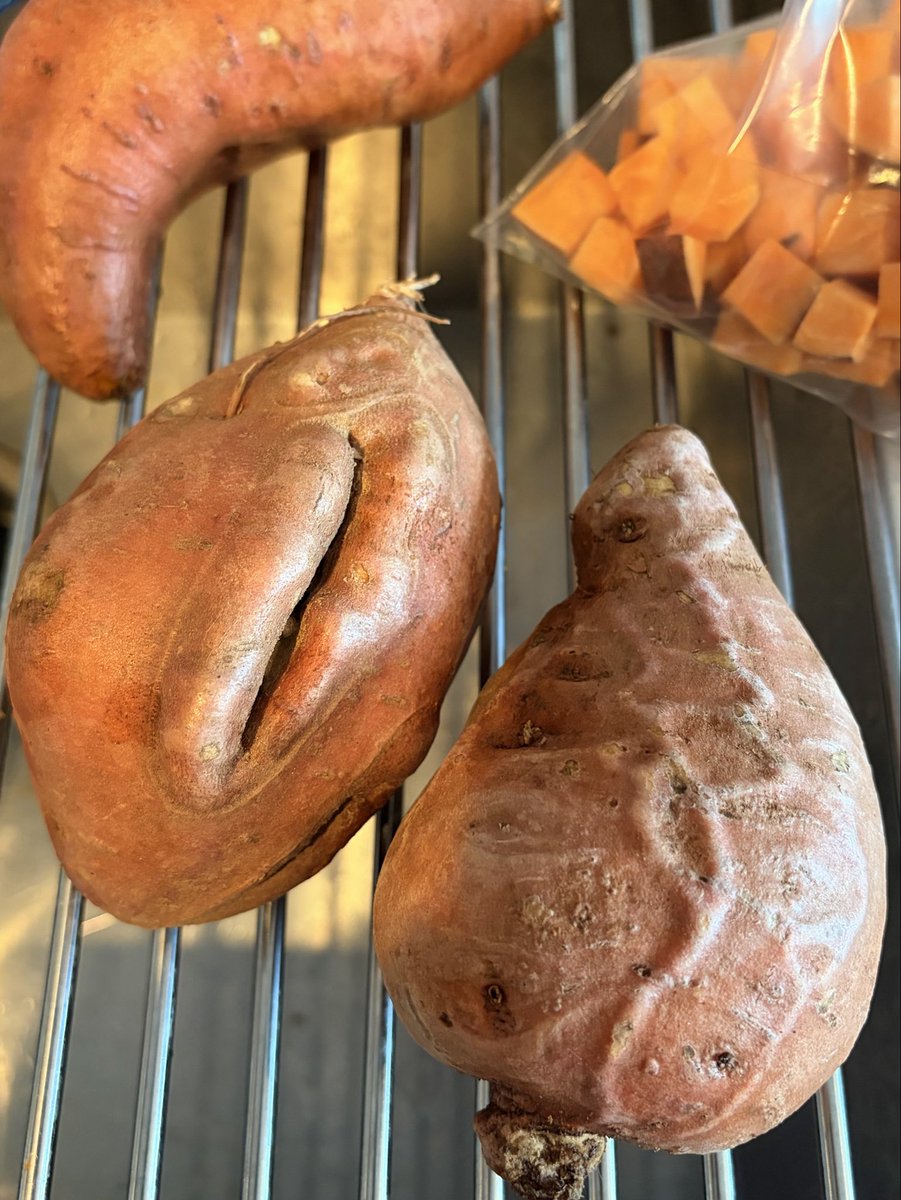 Yura Sorae 🚶‍♀️ tweet media