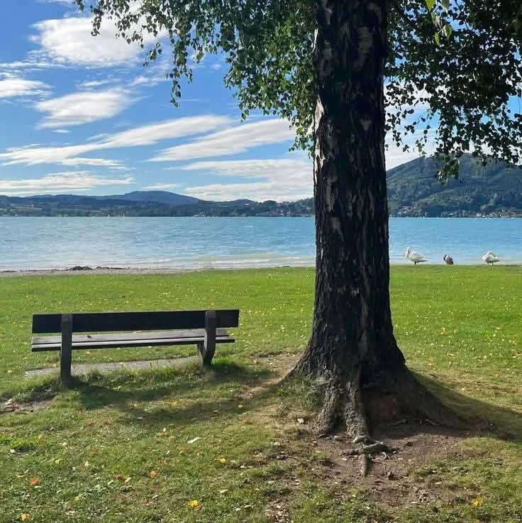 ⊹ ࣪ pam ˖✦ tweet media