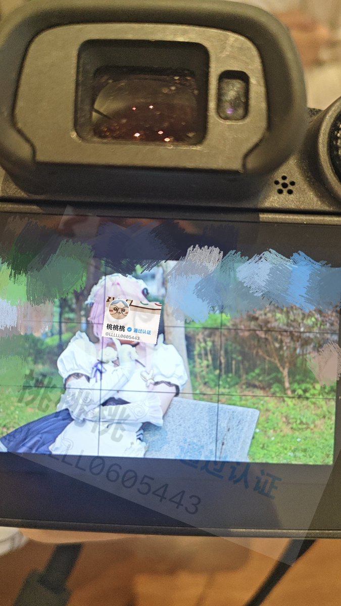 桃桃桃 tweet media