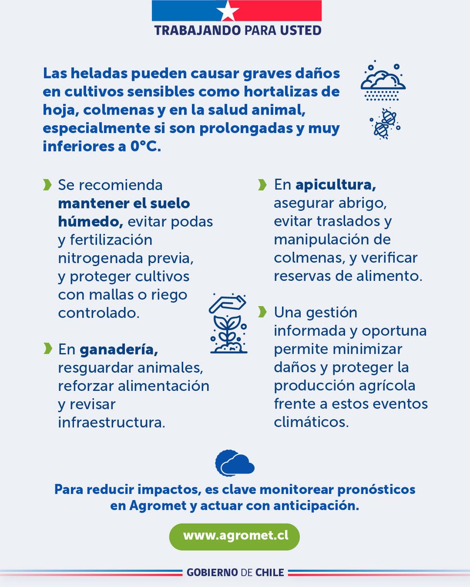Ministerio de Agricultura de Chile 🇨🇱 tweet media