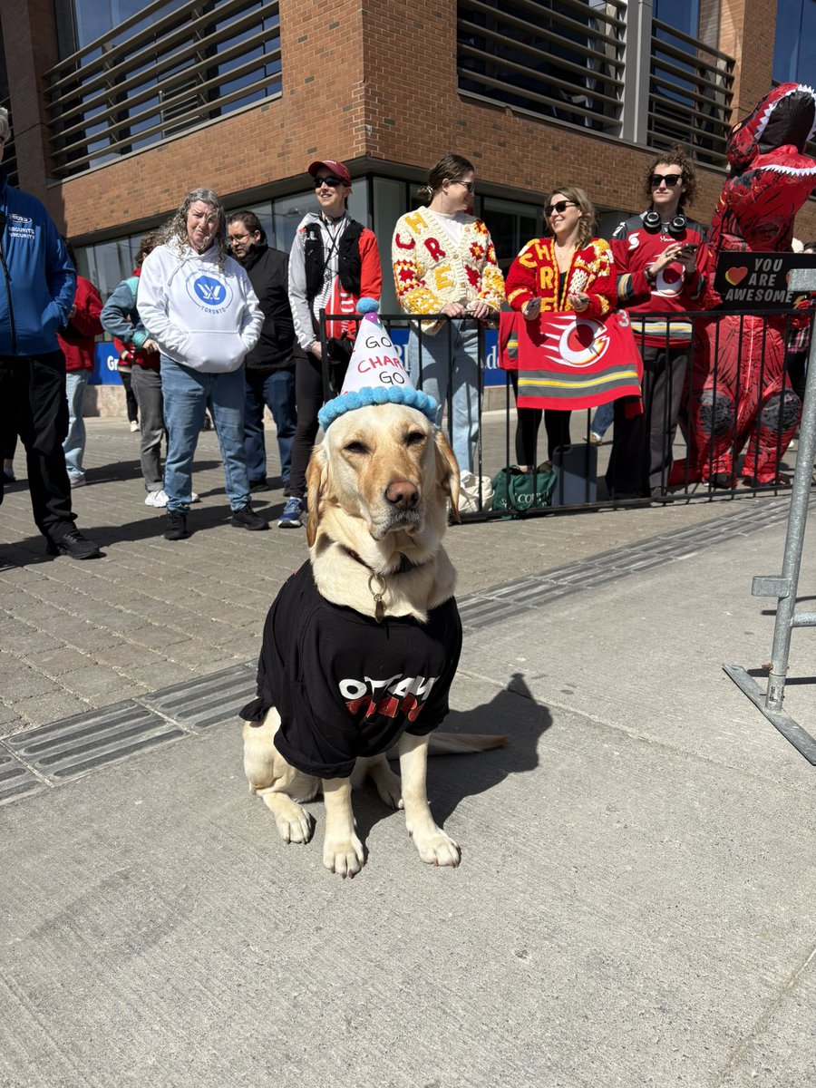 EVERYONE STOP WHAT YOU’RE DOING AND LOOK AT THE CHARGE DOG 🥹