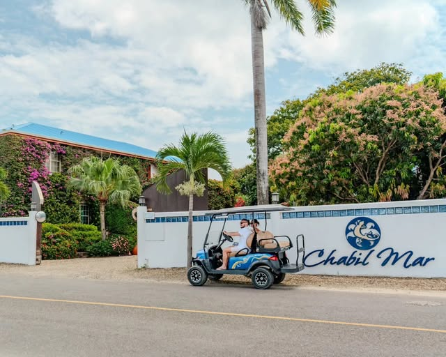 BelizeResortCMV's tweet image. How to Plan a High-End Belize Vacation
chabilmarvillas.com/how-to-plan-a-…
#belize #centralamerica #placencia #chabilmar #Belizeresorts #Belizevacation #travelbelize