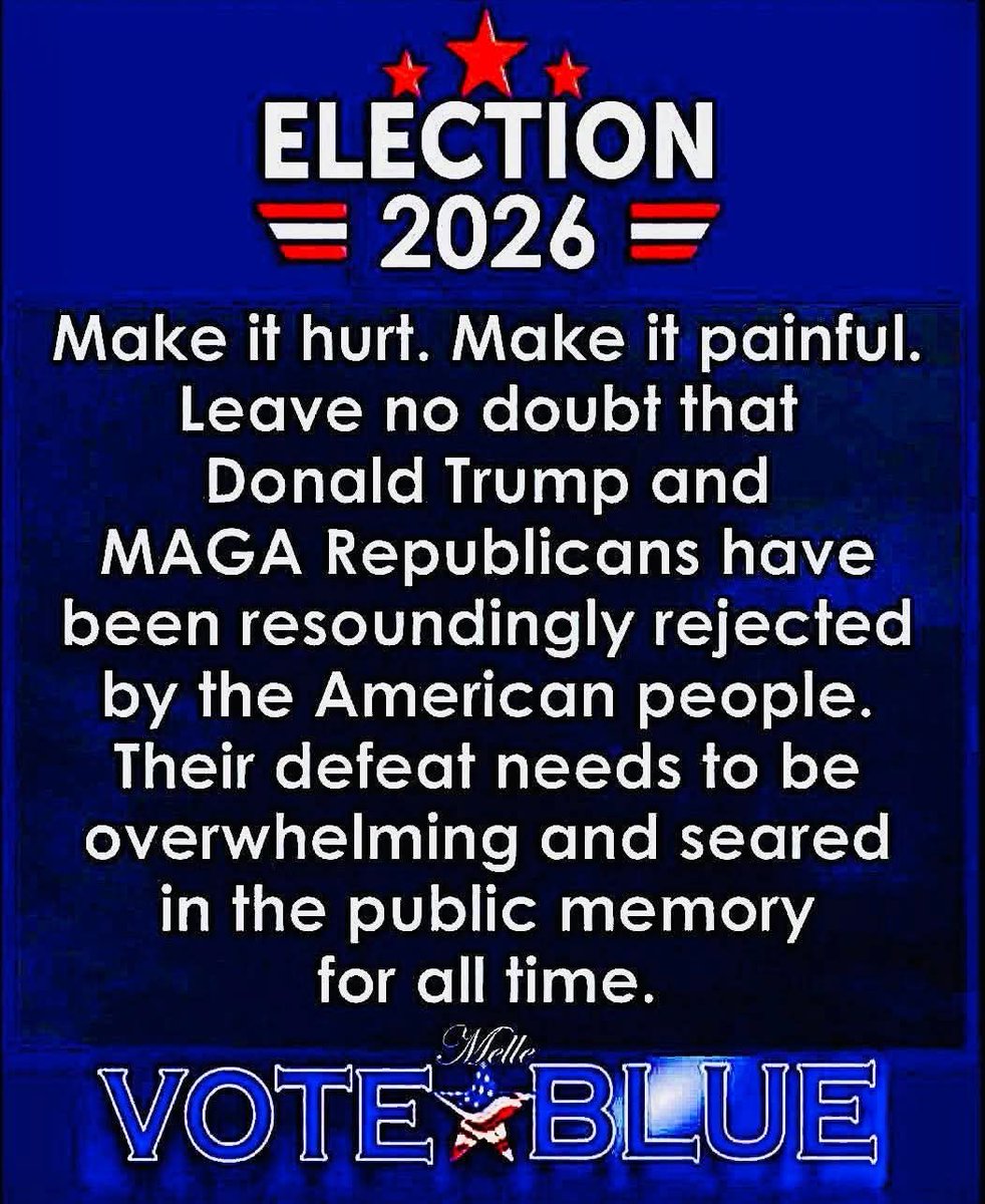 Pissed off American Voter💙💙💙🌊🌊🌊🌊 tweet media