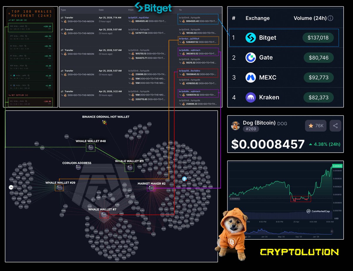 Vincent (Cryptolution) 👑 tweet media