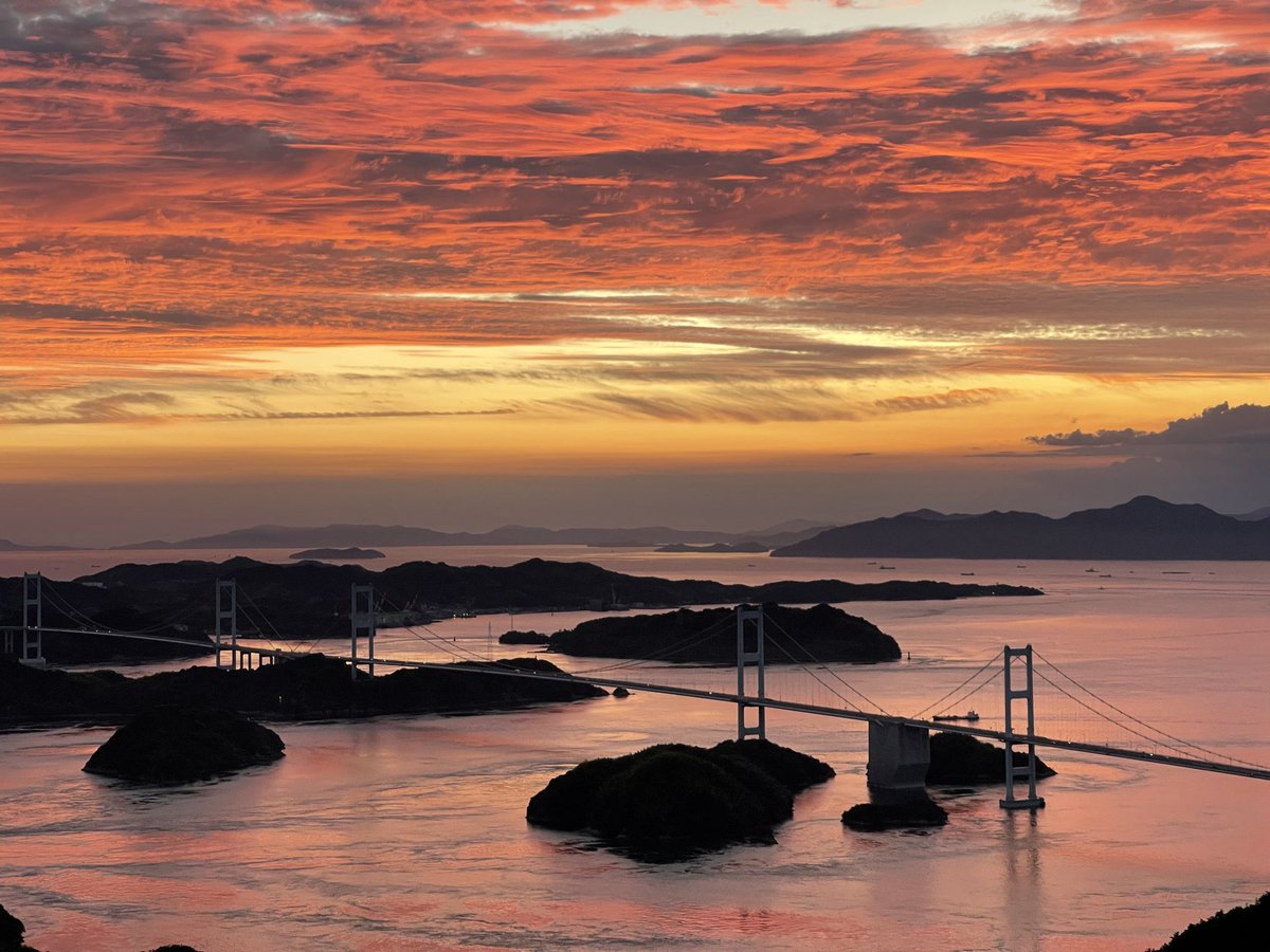 鬼灯すすき tweet media