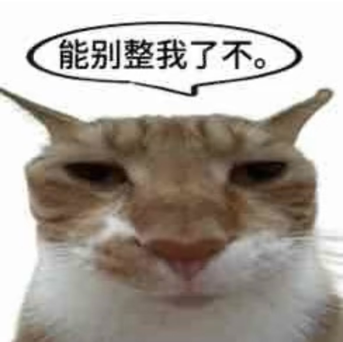 床伴是铃木一彻级别 tweet media