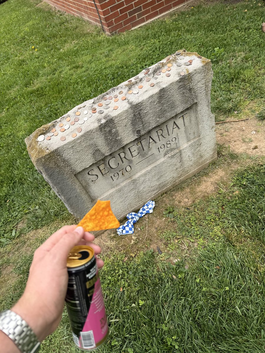 I could be wrong but I believe you all are witnessing the first person to eat a dorito and drink a liquid death energy drink in front of the greatest race horse of all time.