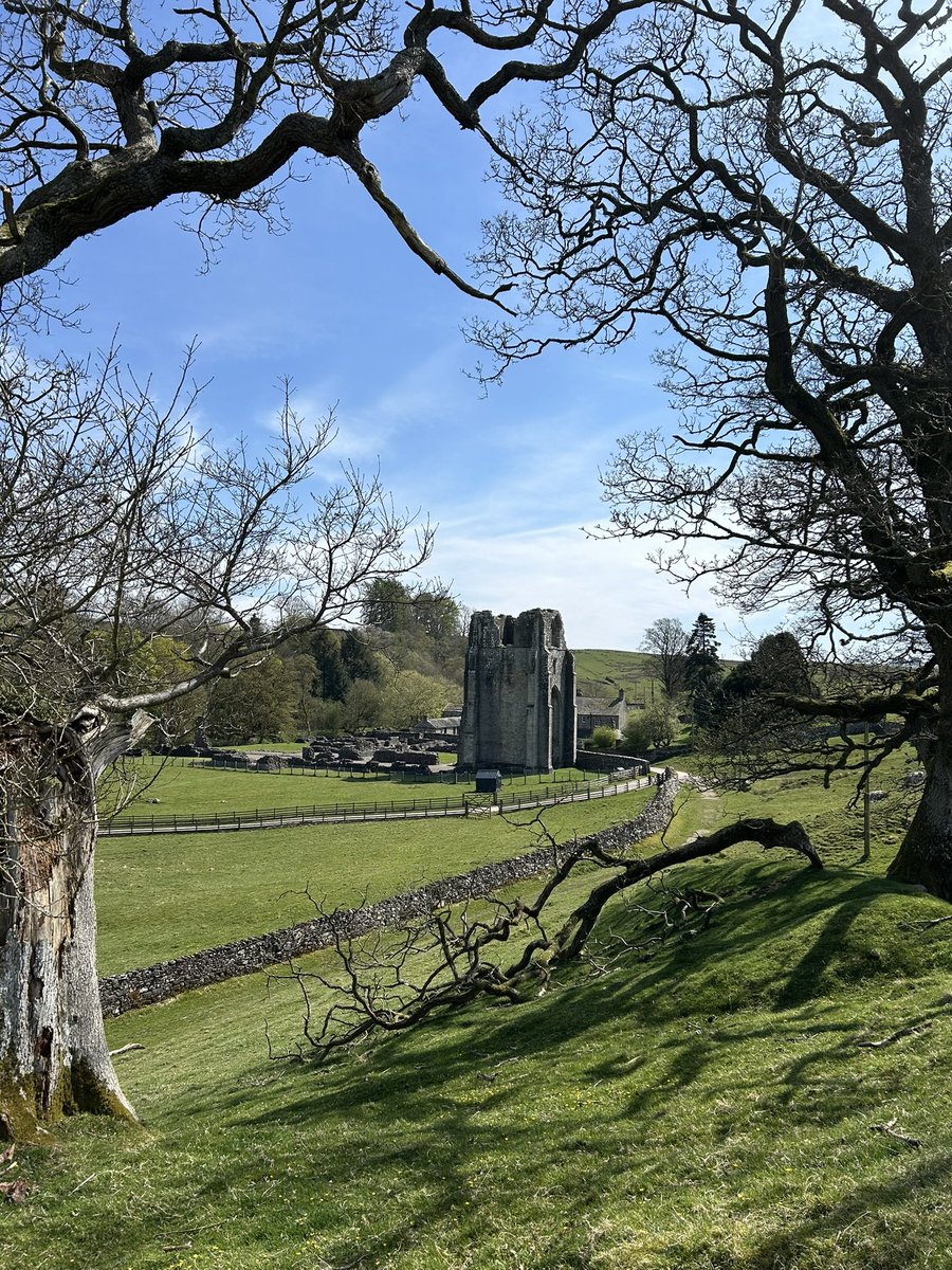 elizabeth tutty tweet media