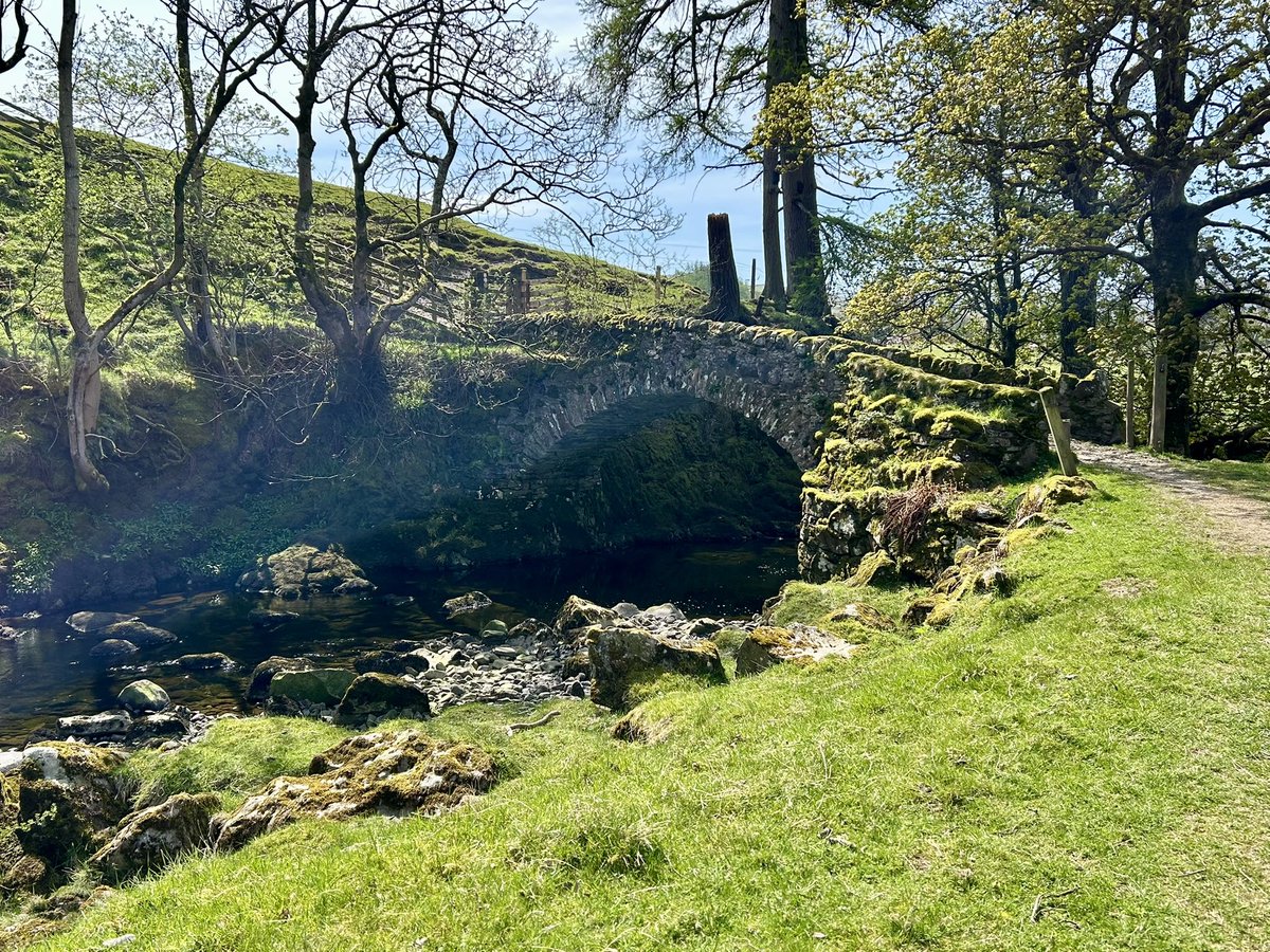 elizabeth tutty tweet media