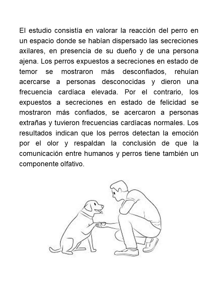 AMajorWings's tweet photo. Los perros pueden oler el miedo de las personas https://t.co/ZtMvlhEi9o