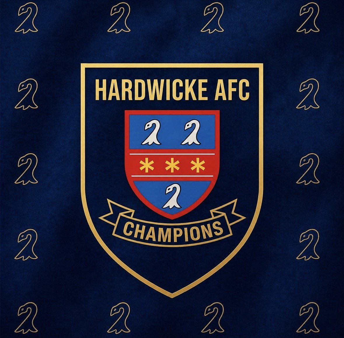 Hardwicke AFC tweet media