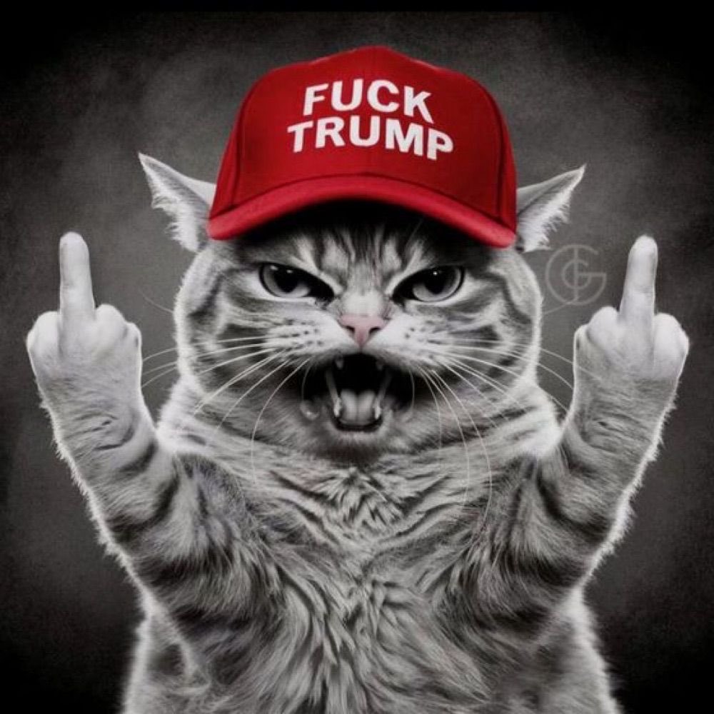 William448017's tweet photo. @Damaan4u33 @realDonaldTrump https://t.co/bfslluChfX