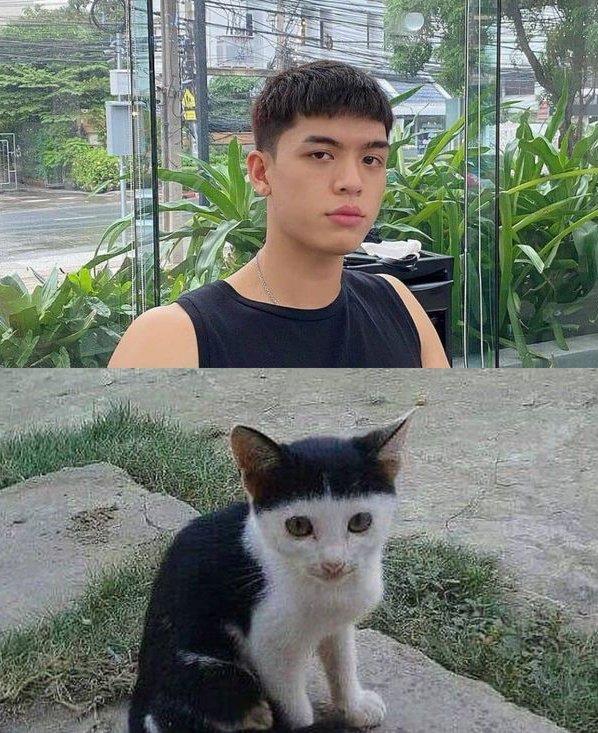 𝑻𝒉𝒆𝒖𝒔🩺🔮🐻🐧𝑶𝑭𝑫𝑶 ❤️‍🔥 tweet media