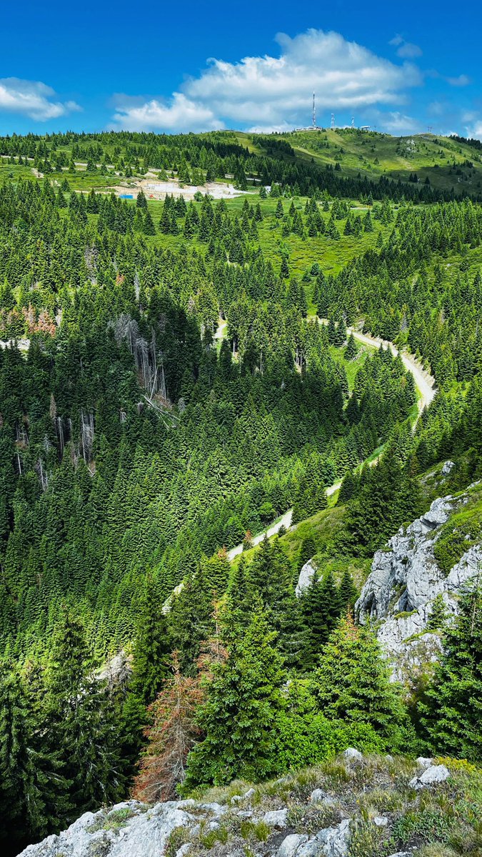 Intellidex_'s tweet photo. @stats_feed Our view immediately lowers the cortisol level 🌳 In nature, we ideate. https://t.co/dcKaAxXnha
