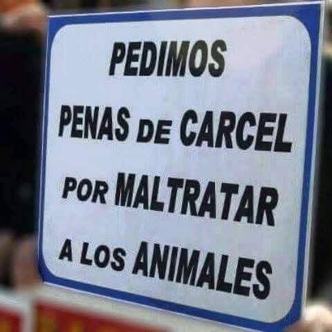 IVANNINO tweet media