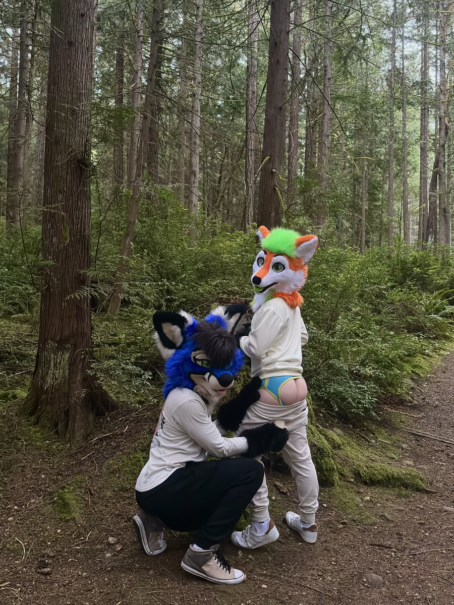 TheFlashingFox tweet media