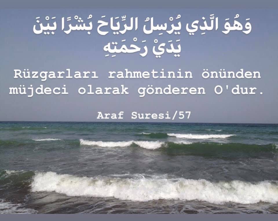 Handan Özduygu tweet media