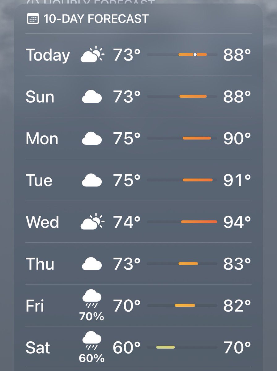 Laurabrun1011 tweet media