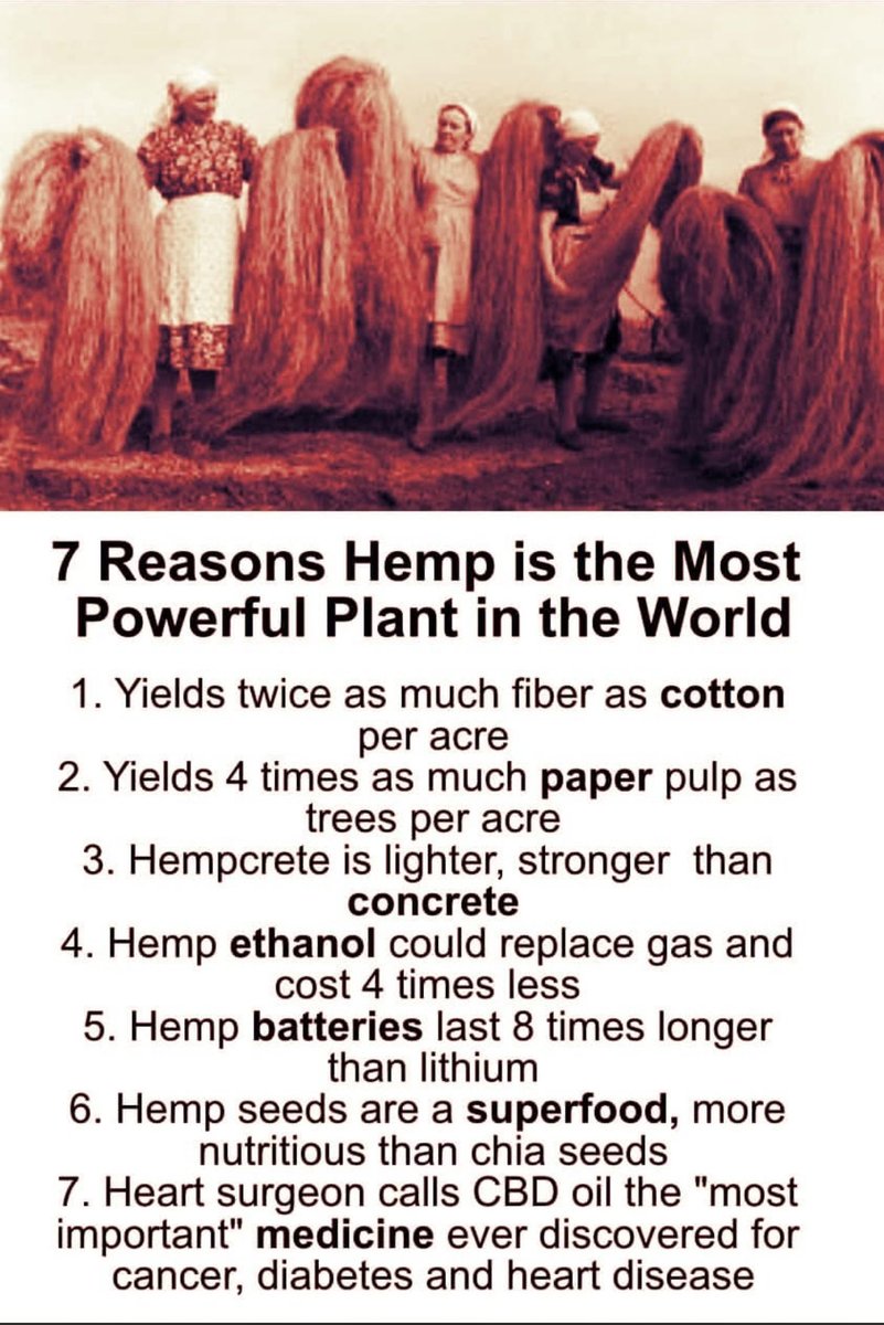rogueherbalism's tweet photo. Hemp is the superior resource for clean sustainable living 🙏🪴🤓 https://t.co/wEvFOBuNhZ