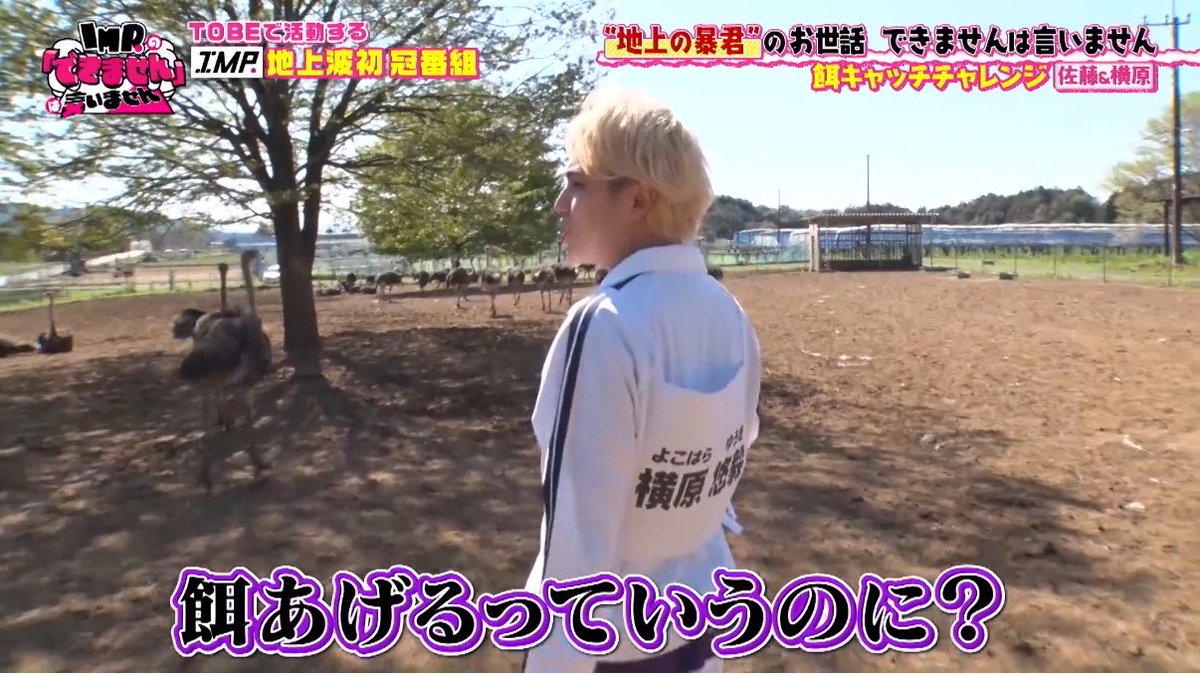 み tweet media